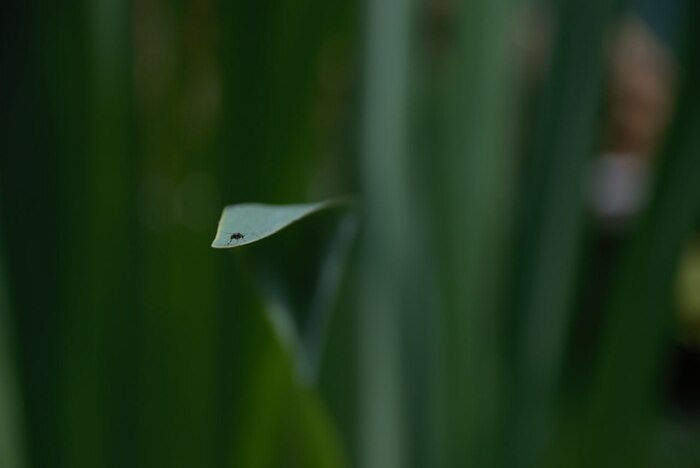 Просто начни снимать!