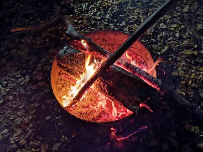 ��� ������ ���� 2025