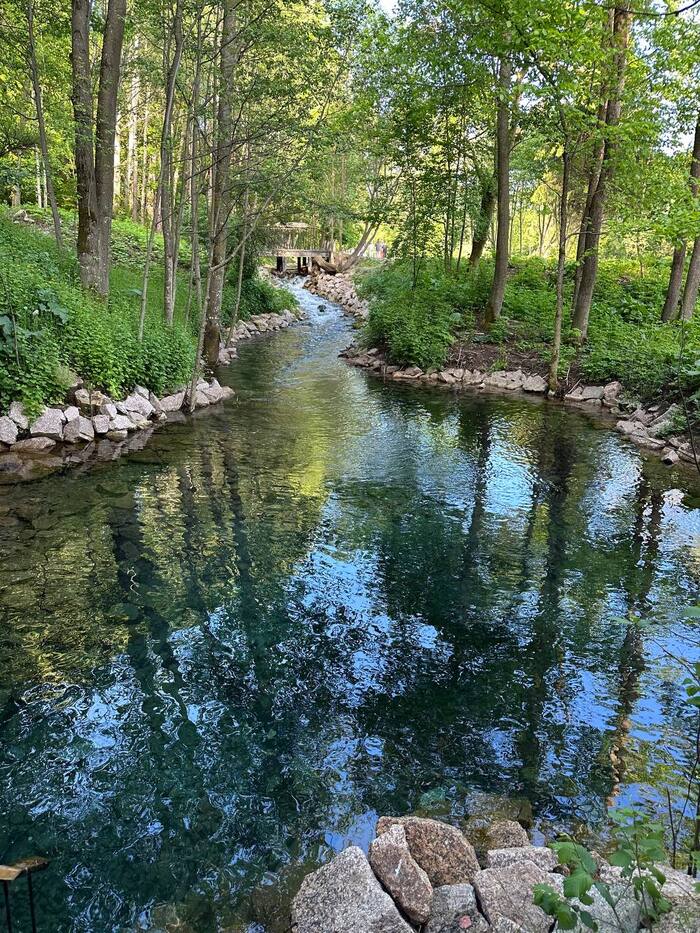 Ответ на пост «Лучший кадр 2025 года»