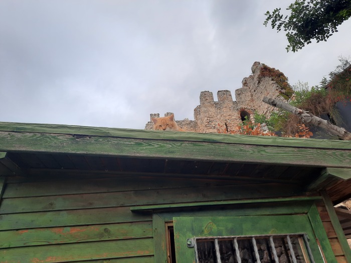 Ответ на пост «Лучший кадр 2025 года»