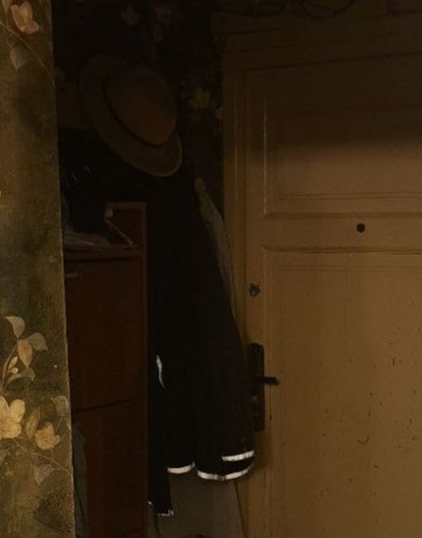 В прихожей довольно темно, свет падает из-за камеры от люстры, но светоотражатели даже так хорошо видны. За курткой виднеется почти белый плащ.