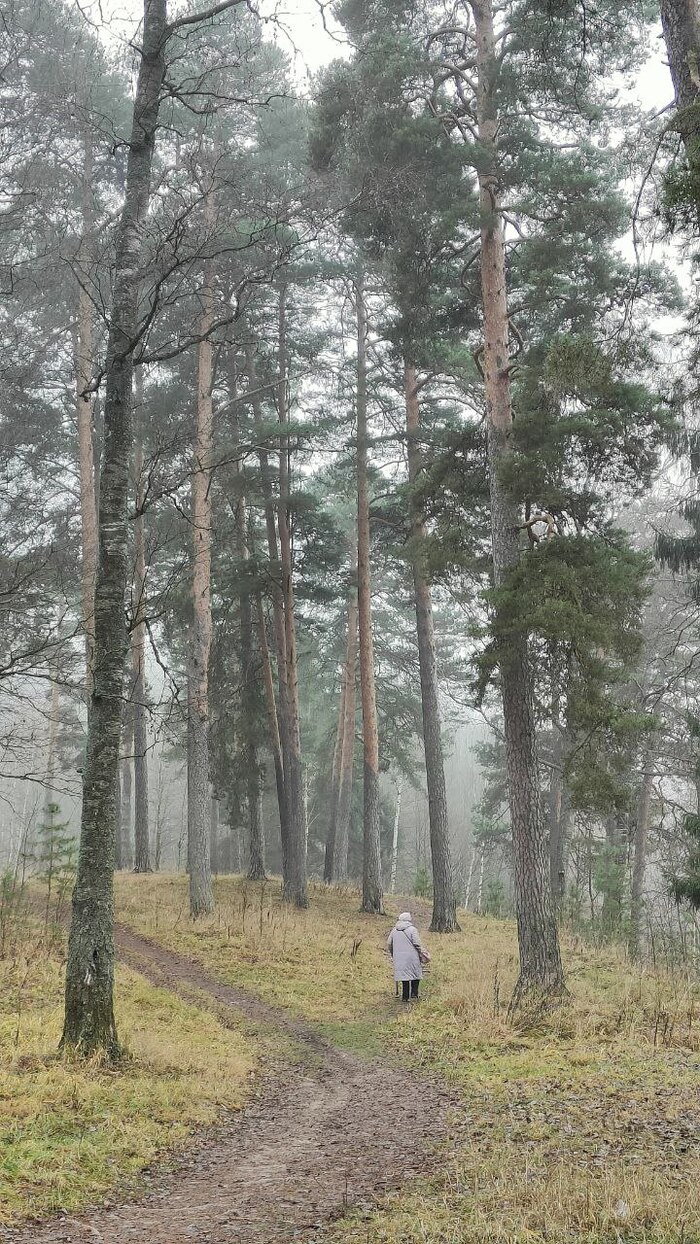 Ответ на пост «Лучший кадр 2025 года»