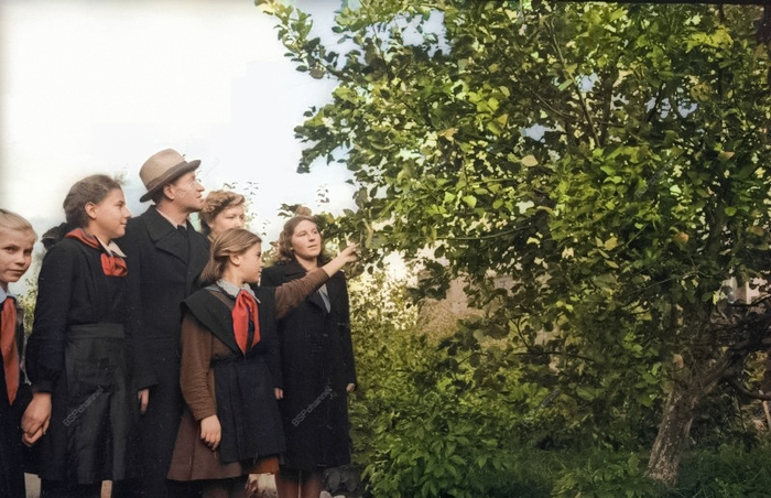 Фотограф: Сергей Васин