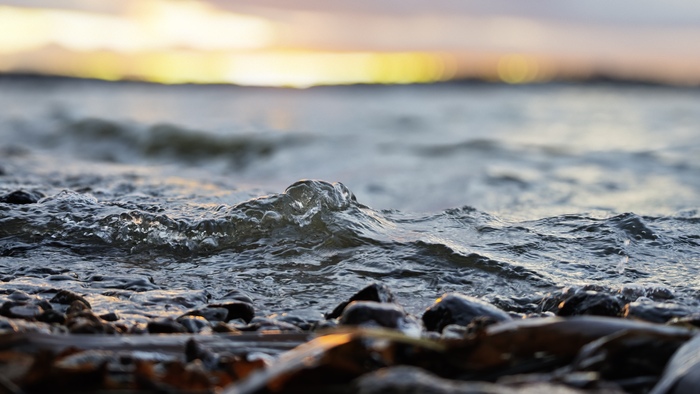 Ответ на пост «Лучший кадр 2025 года»