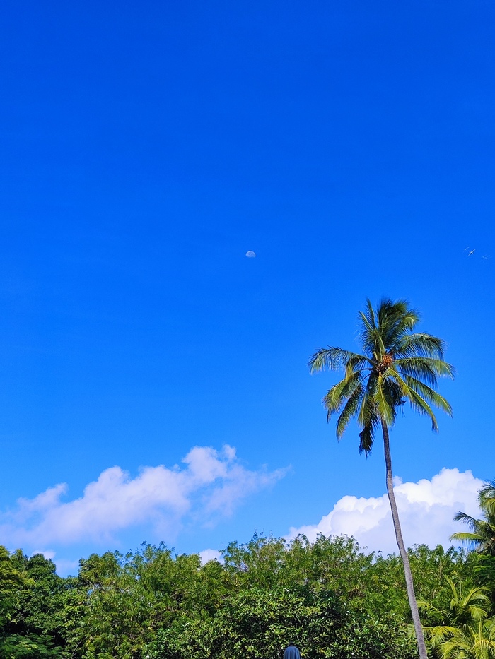 ������ ���� 2025 ����