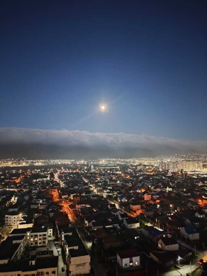 ����� �� ���� "��� ������ ���� � 2025 ����"