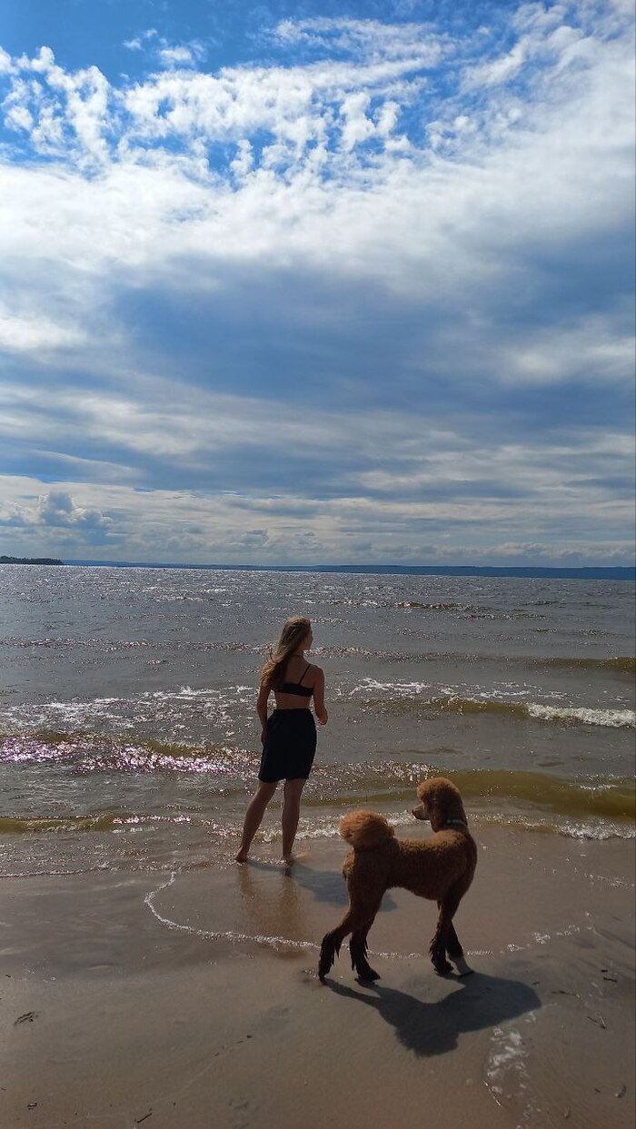 Ответ на пост «Ответ на пост "Лучший кадр 2025 года"»