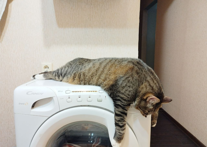 ����� �� ���� ���� ������ ���������� ����