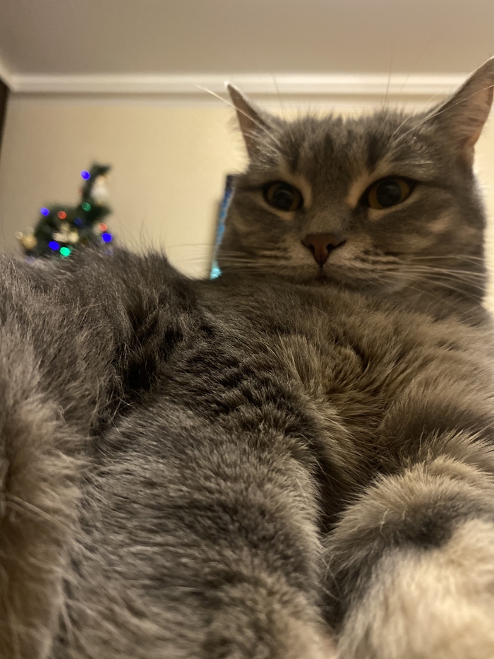 С Новым годом