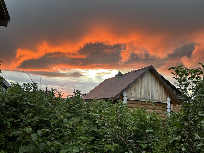 ����� �� ���� ������� ���� 2025 ����