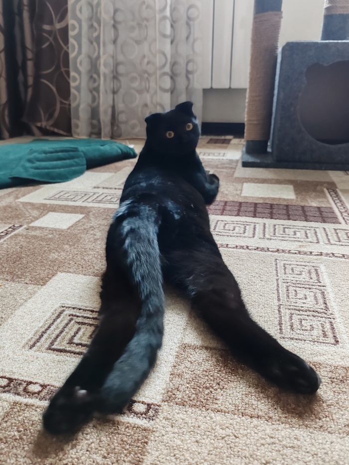 ����� �� ���� ���� ������ ���������� ����