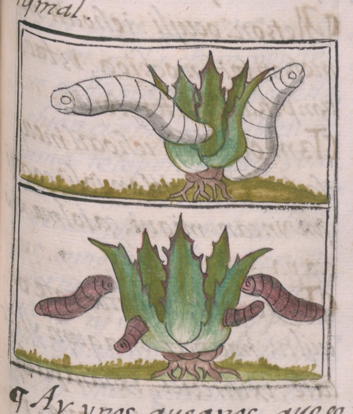 Дары рек и озёр