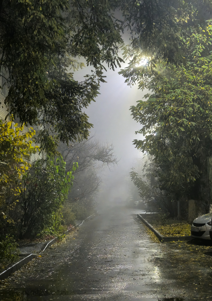 Ответ на пост «Лучший кадр 2025 года»