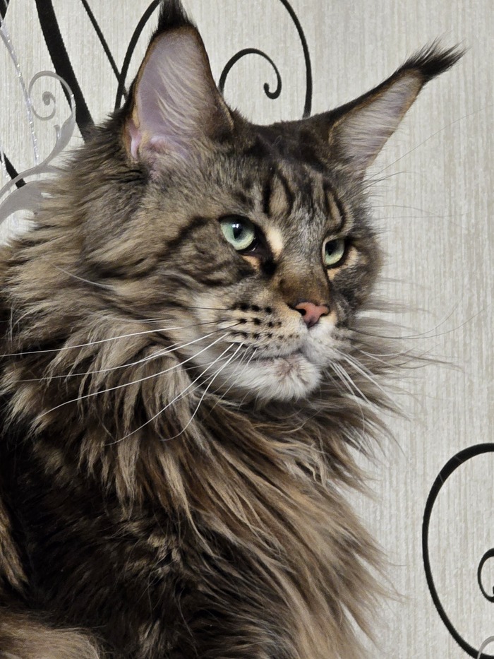 Лучшее фото 2025 года