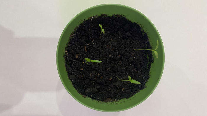 Набираем силу