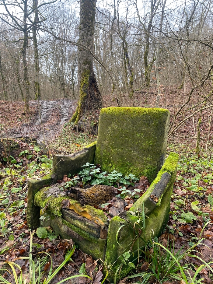 апшеронский лес