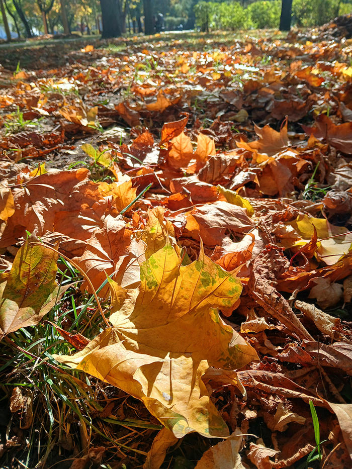 Ответ на пост «Лучший кадр 2025 года»