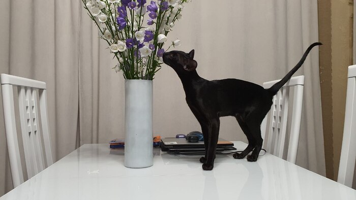 Вкусно пахнет ошенна