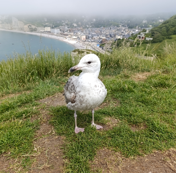 Моя лучшая фотография...