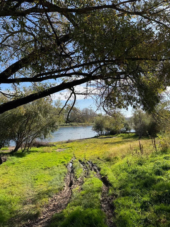 Это город Уфа. В 5 минутах ходьбы многоэтажные дома. Сипайлово.