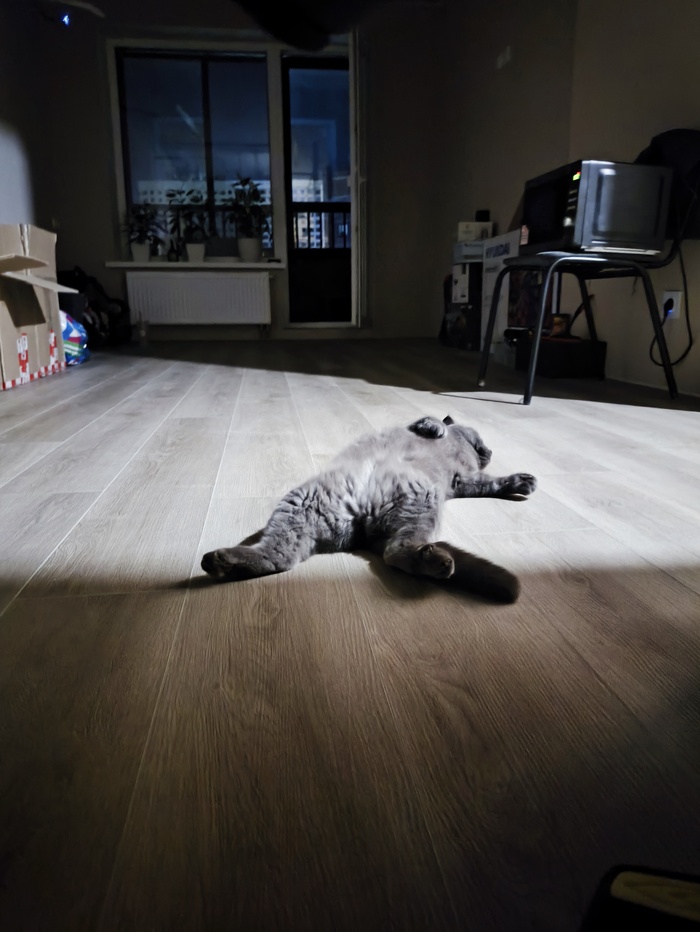 Лучший кадр 2025 года