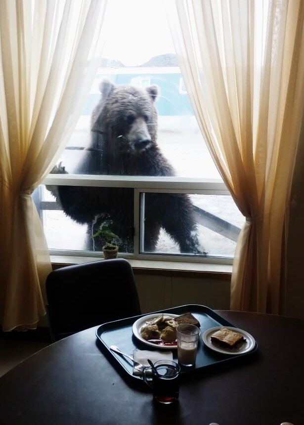 Лучший кадр 2025 года