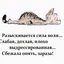 MaRiNkA20031980