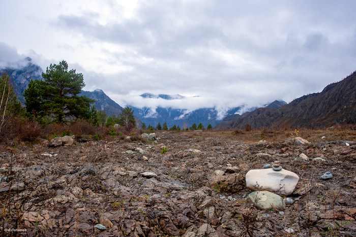 Огород не посадишь.