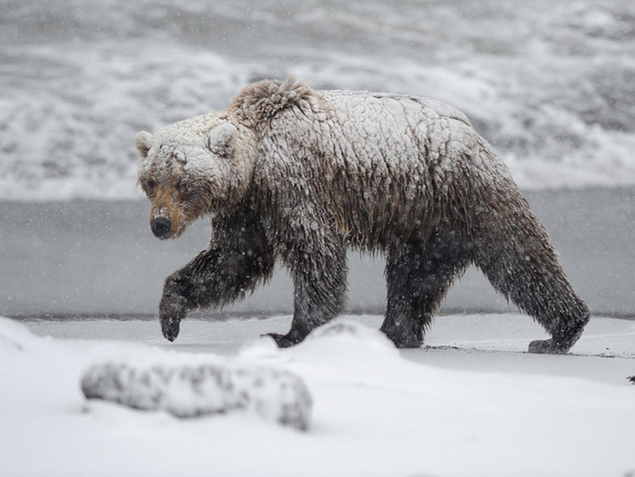 А вот так выглядят шатуны.