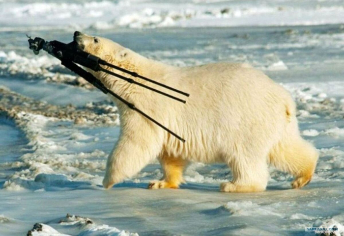 А ну, сапиенс, убрал все свои шайтан машины.