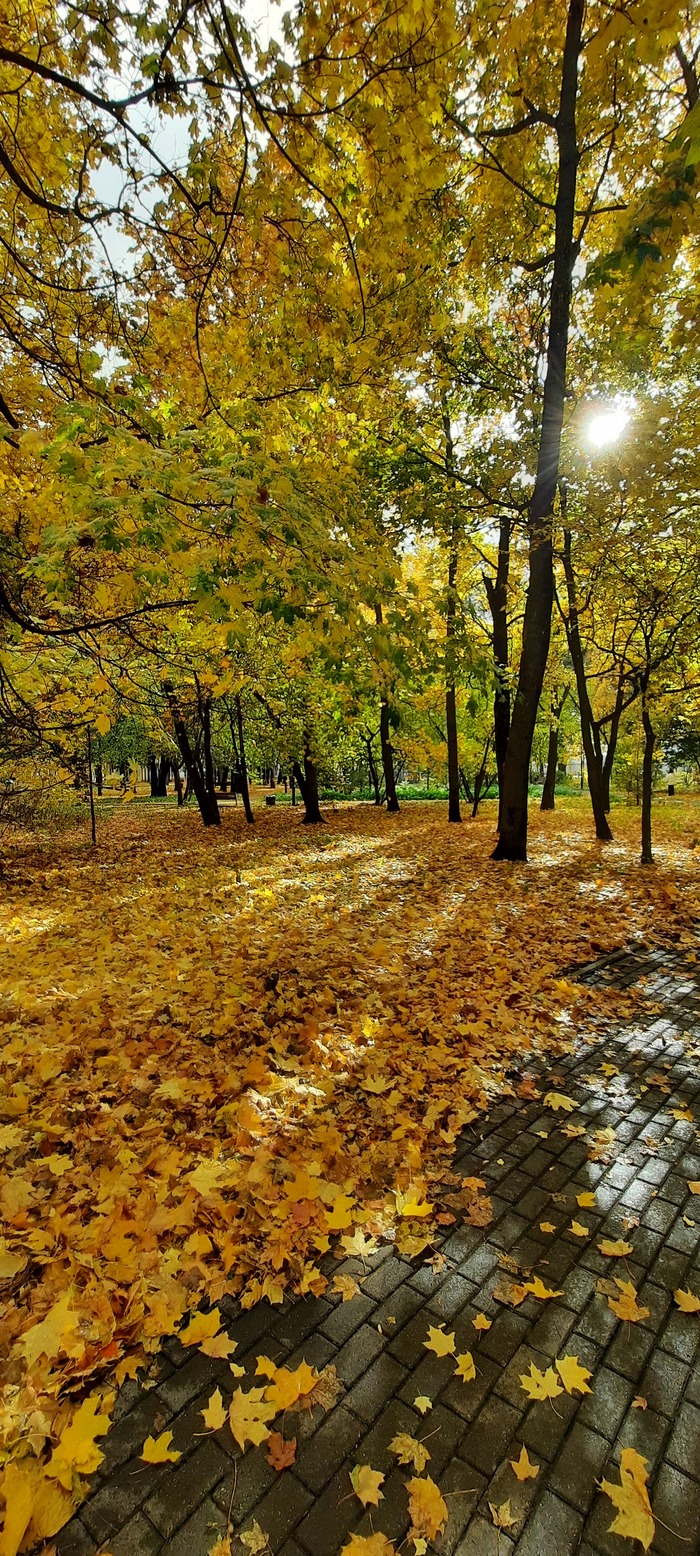 Мой лучший кадр 2025