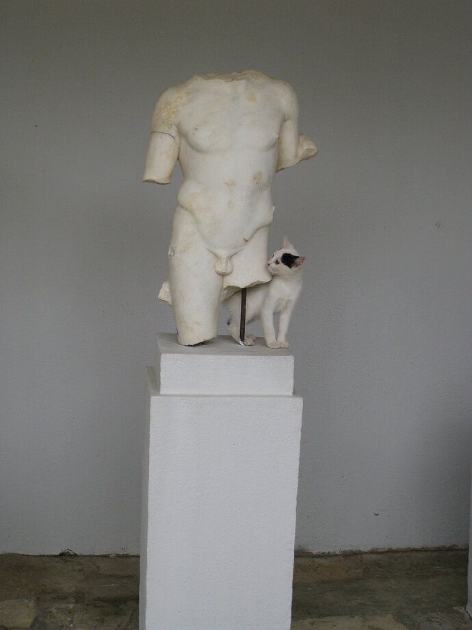 Моё лучшее фото кота