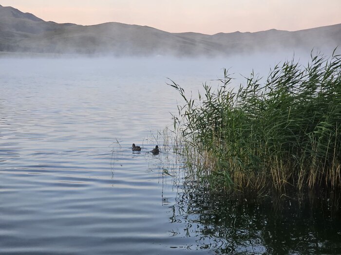 Ответ на пост «Лучший кадр 2025 года»