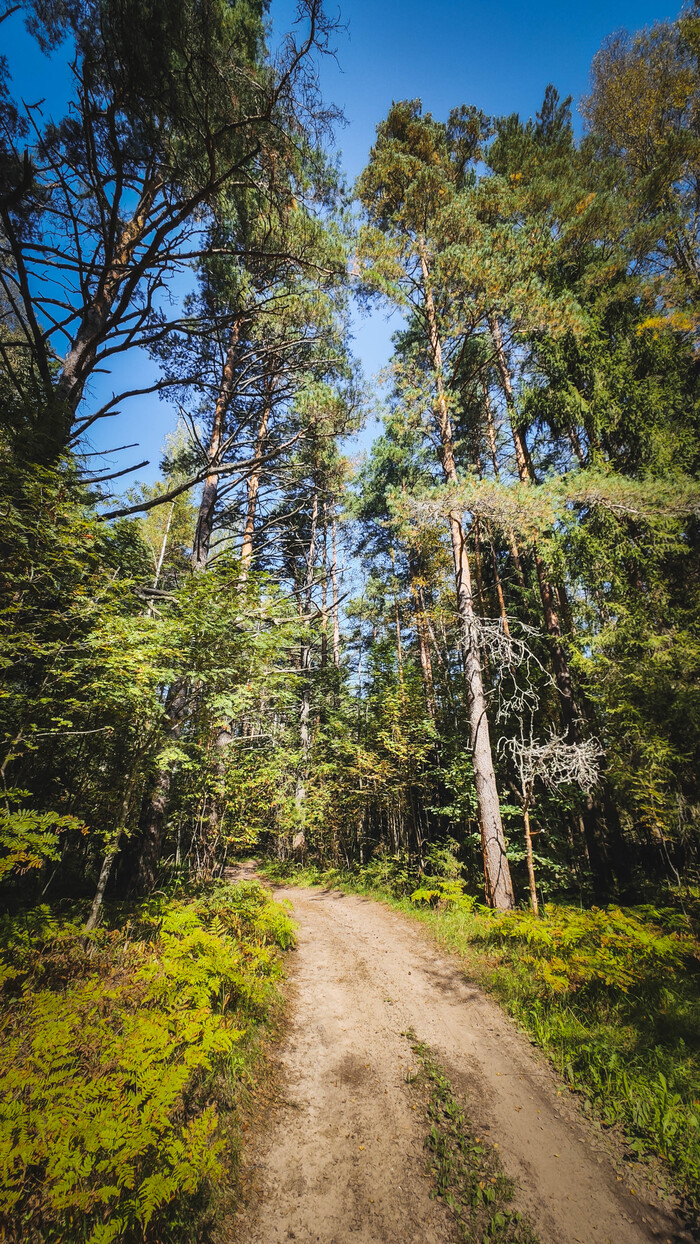 ��� ������ ���������. ��� �������� ����� ����� ��������� ������� �������. ���� 4. ����������� ����� � ������� �� ������ � �������