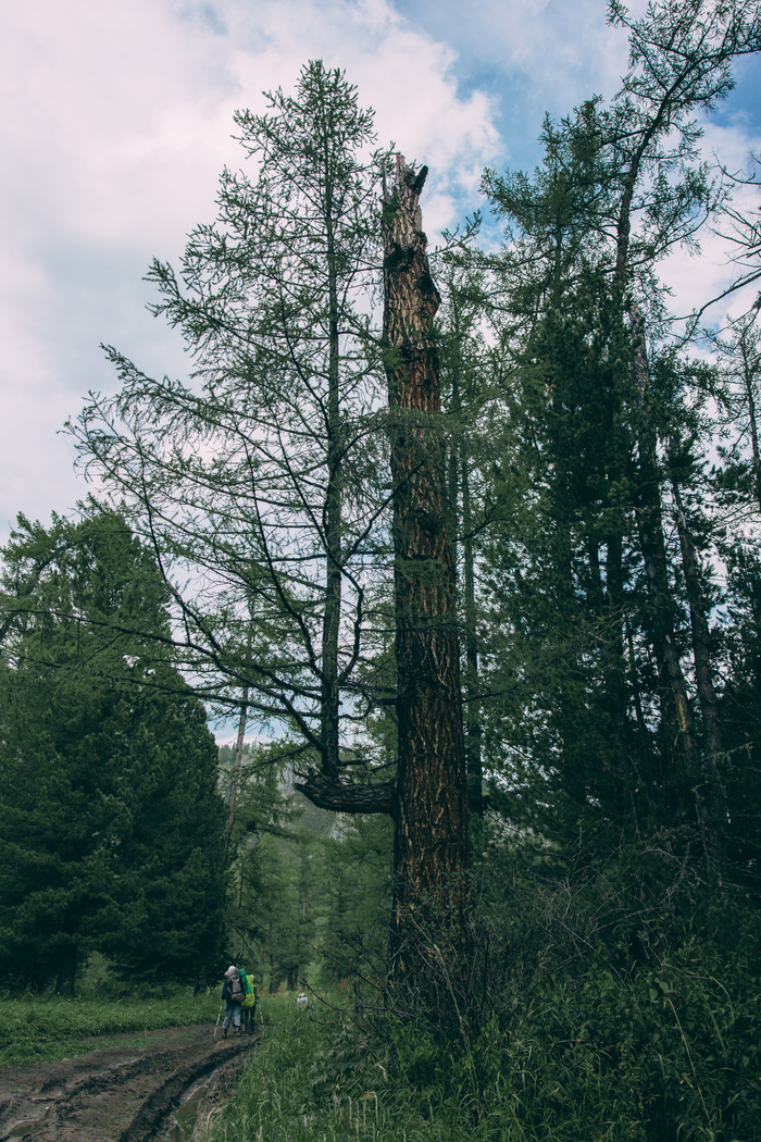 Вот такое бывает