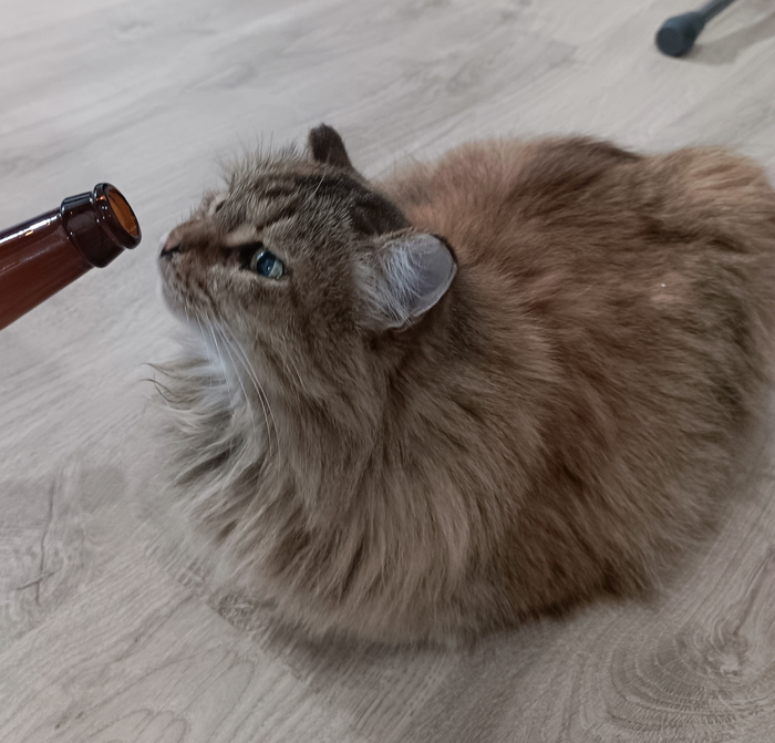 Ммм,легкий запах муската, чернослива, и ослиной мочи, убери это дешевое пойло от меня