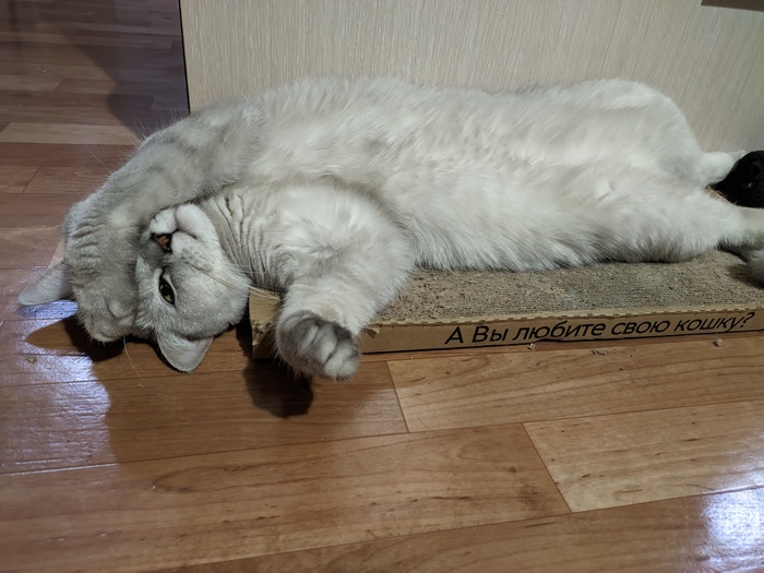 "Опять полежать спокойно не даст.."