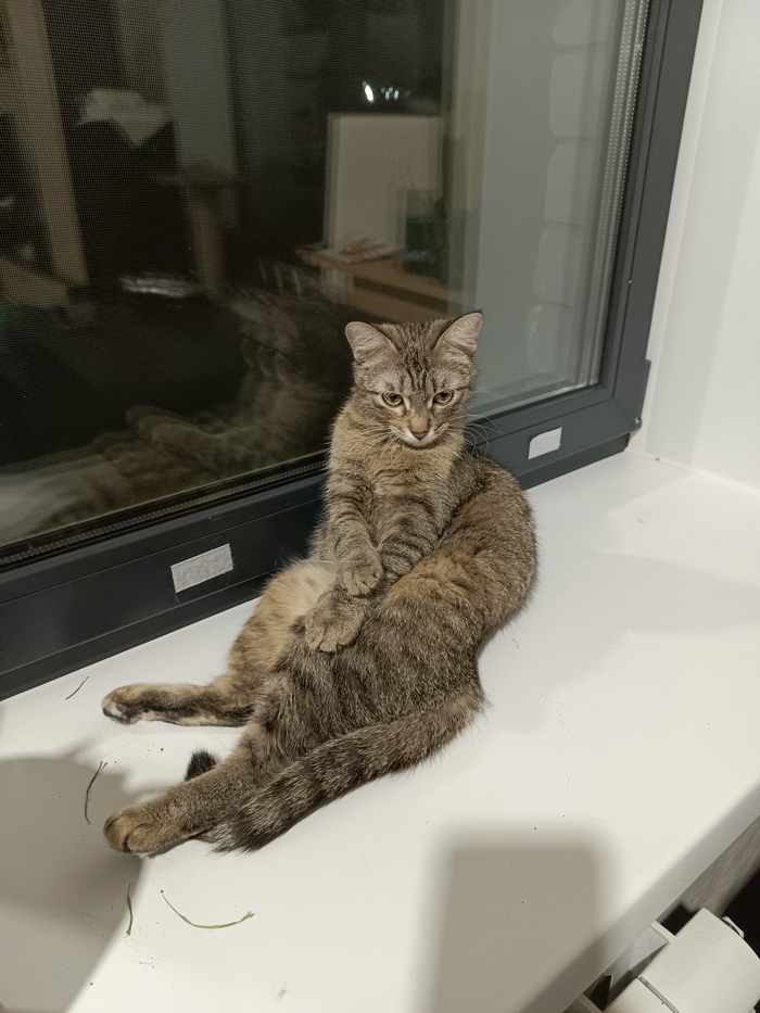 Ждет документы на подпись