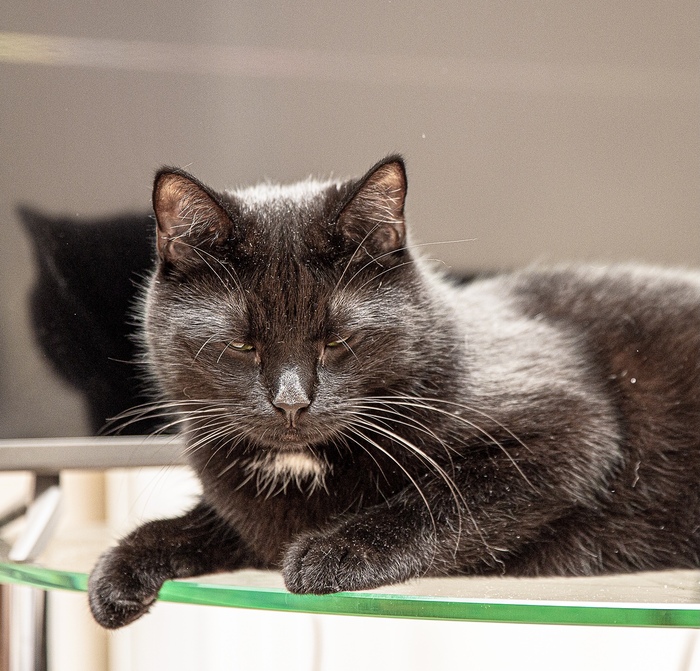 ����� �� ���� ���� ������ ���������� ����