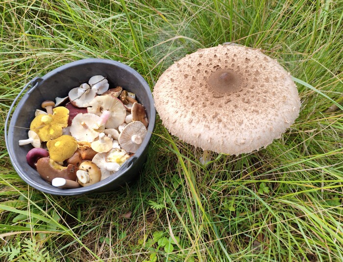 Ответ на пост «Лучший кадр 2025 года»