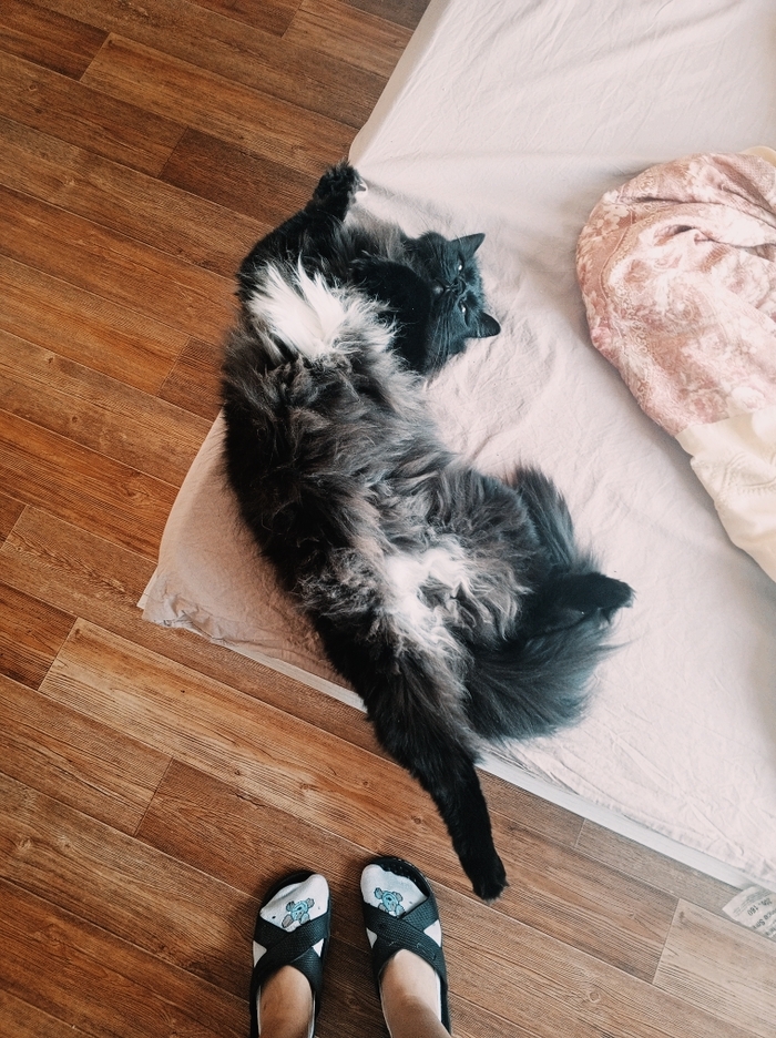 Чуня, Чунидзе, Чучундра, Кабачок)