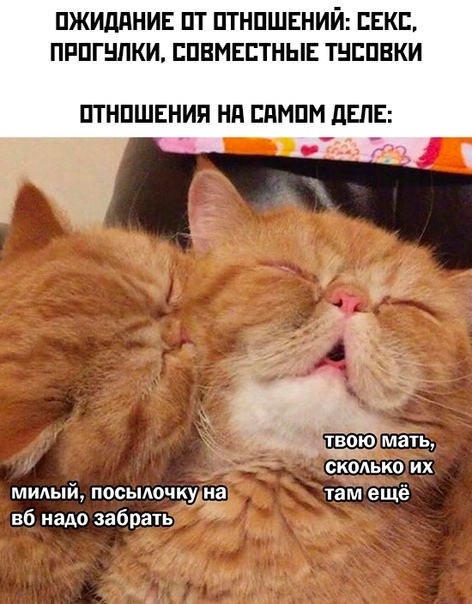 ����� �� ���� ��������� ������