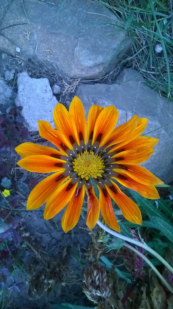 ���� �� ������