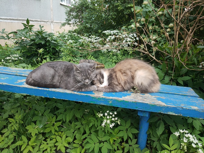 ����� �� ���� ���� ������ ���������� ����