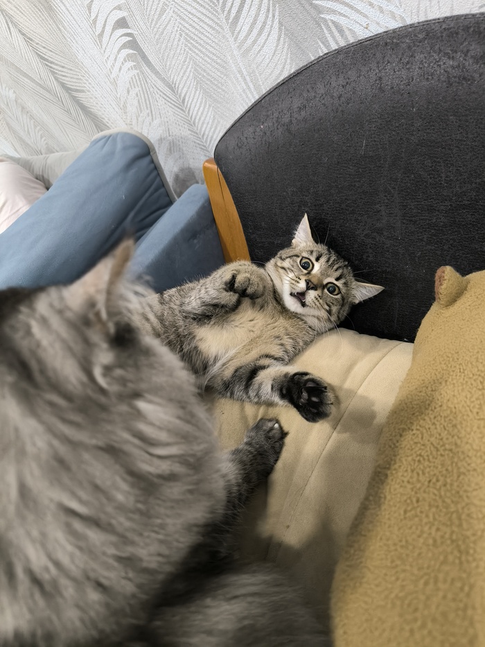 ����� �� ���� ���� ������ ���������� ����