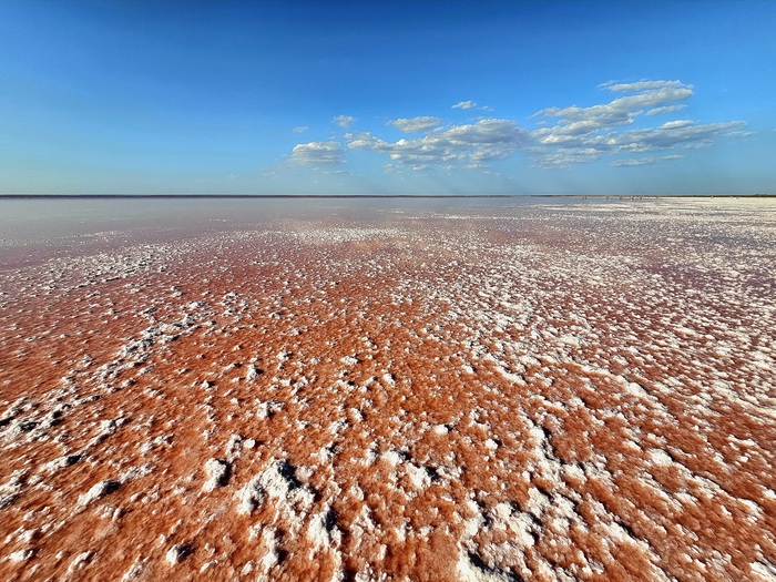 Лучший кадр 2025 года