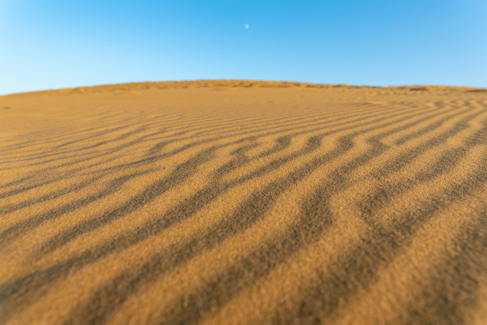 Где то тут тов Сухов выкапывал Саида