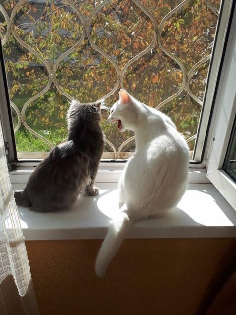 ������ ���� �����