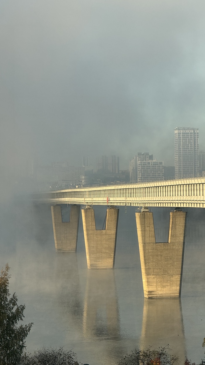 Ответ на пост «Лучший кадр 2025 года»