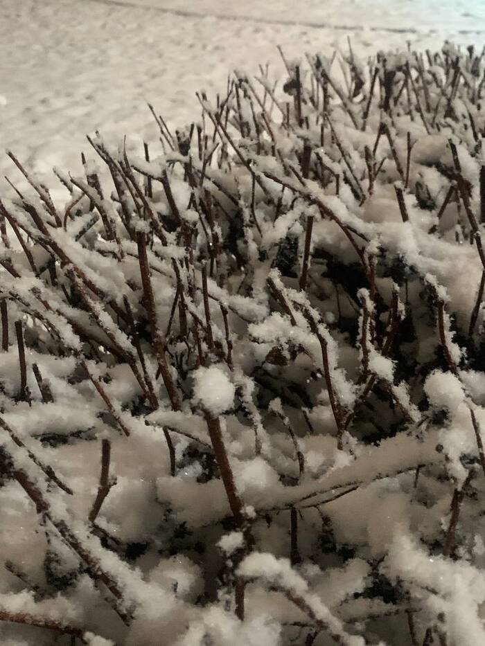 166 ���� ������� #85